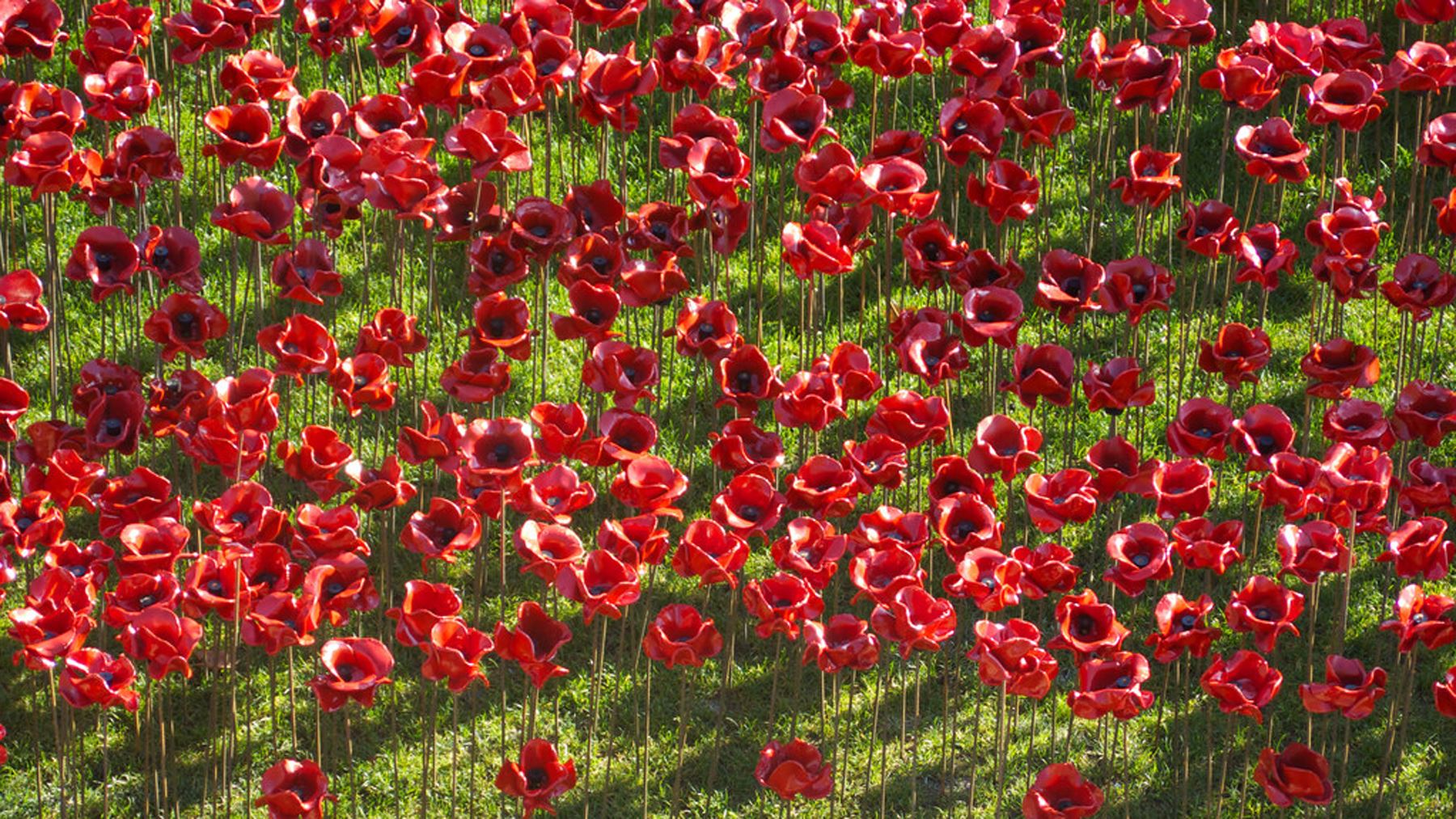 Armistice Day Service of Remembrance