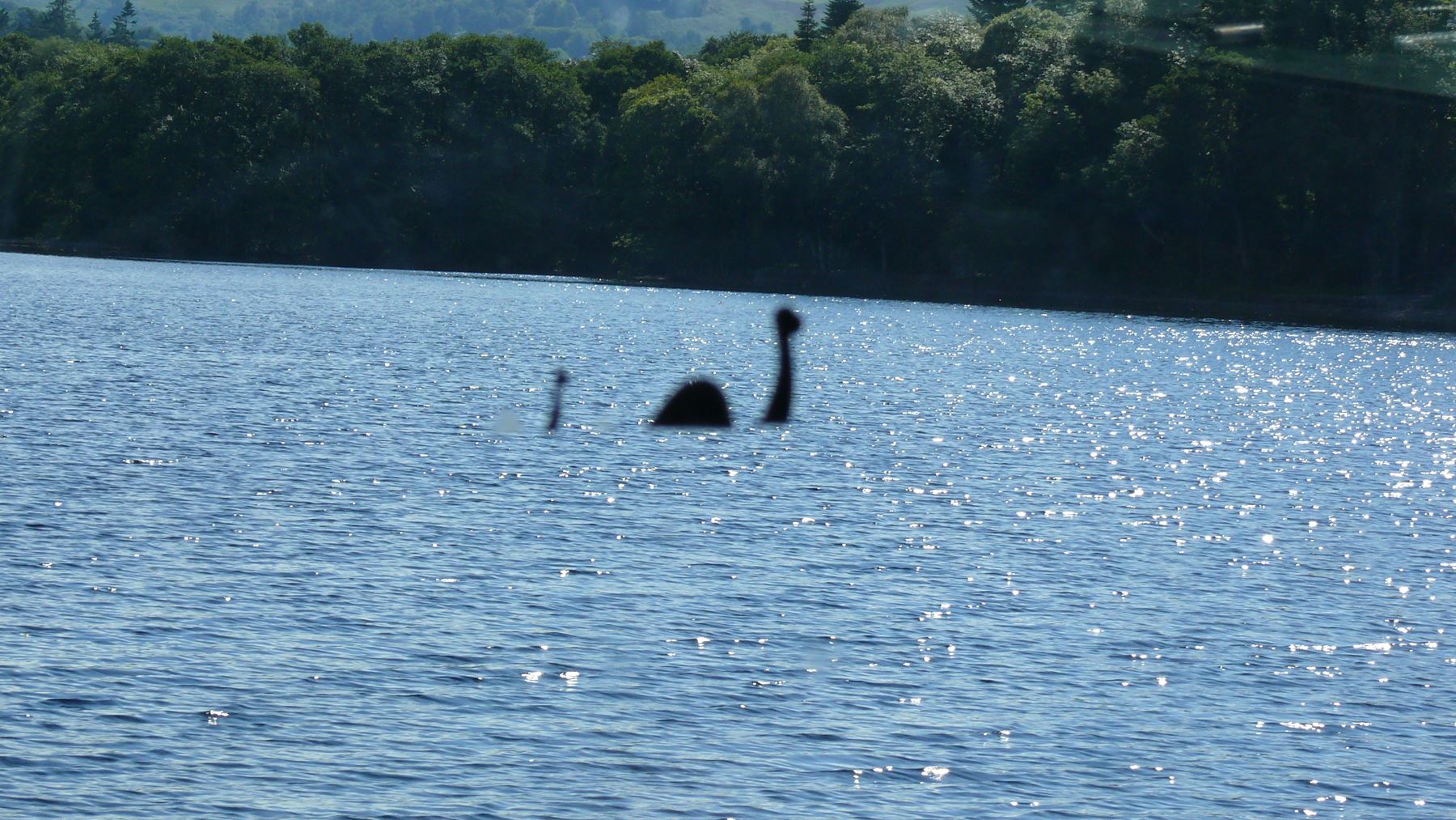 The Thames Monster