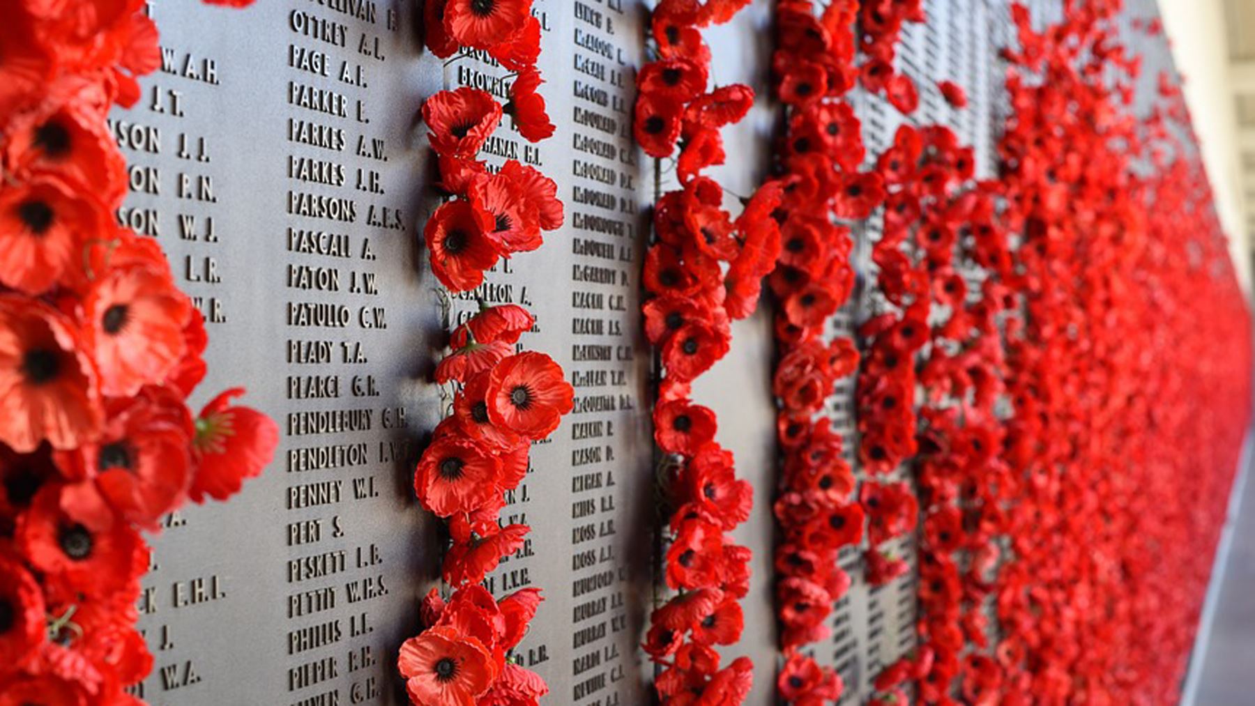 Armistice Day Flotilla