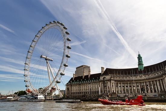 Picture of London Eye - standard entry