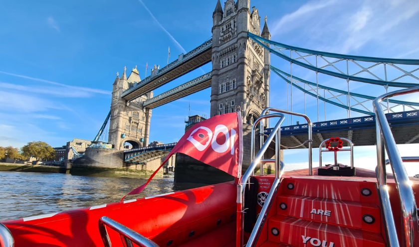 Armistice Day with Thames Rockets