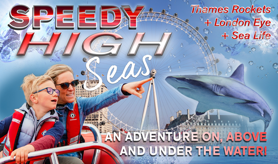 Picture of Speedy High Seas (60 mins + London Eye + Sealife)