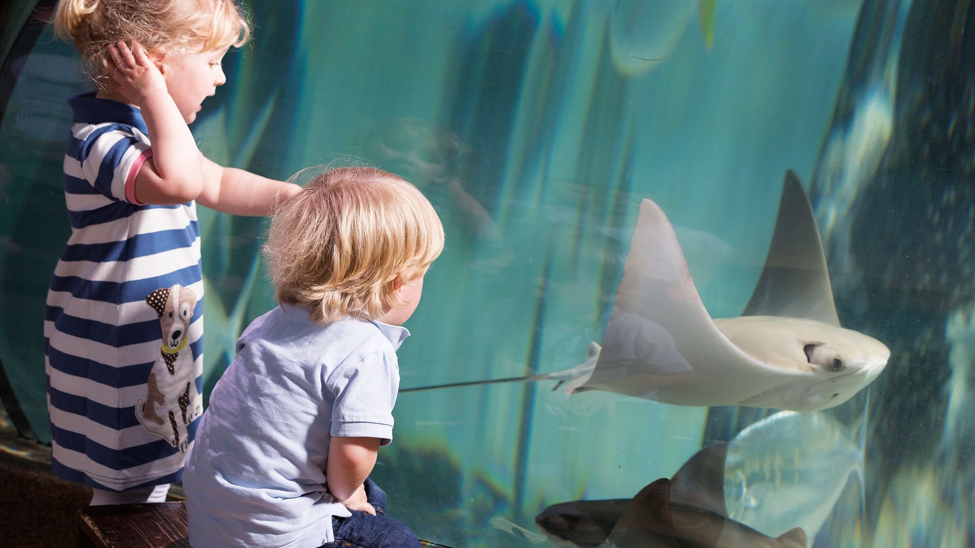 Sea Life London Combination Ticket